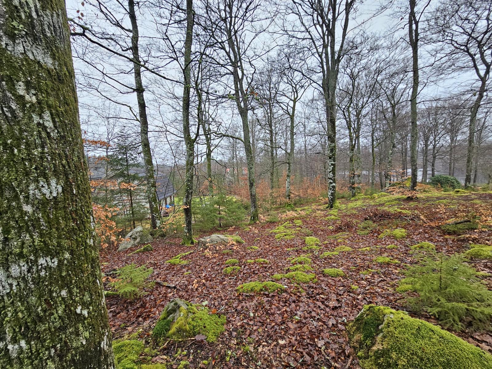 Baugrundstück Schweden1