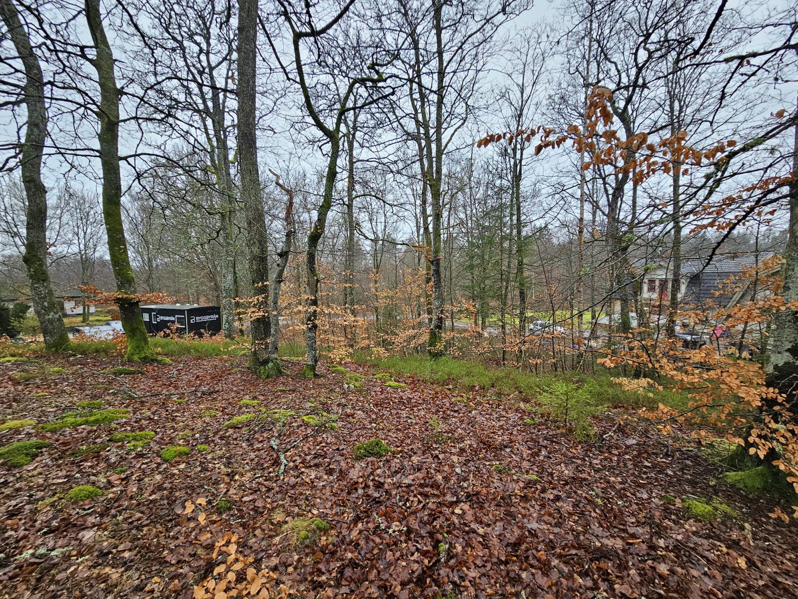 Baugrundstück Schweden1 (2)