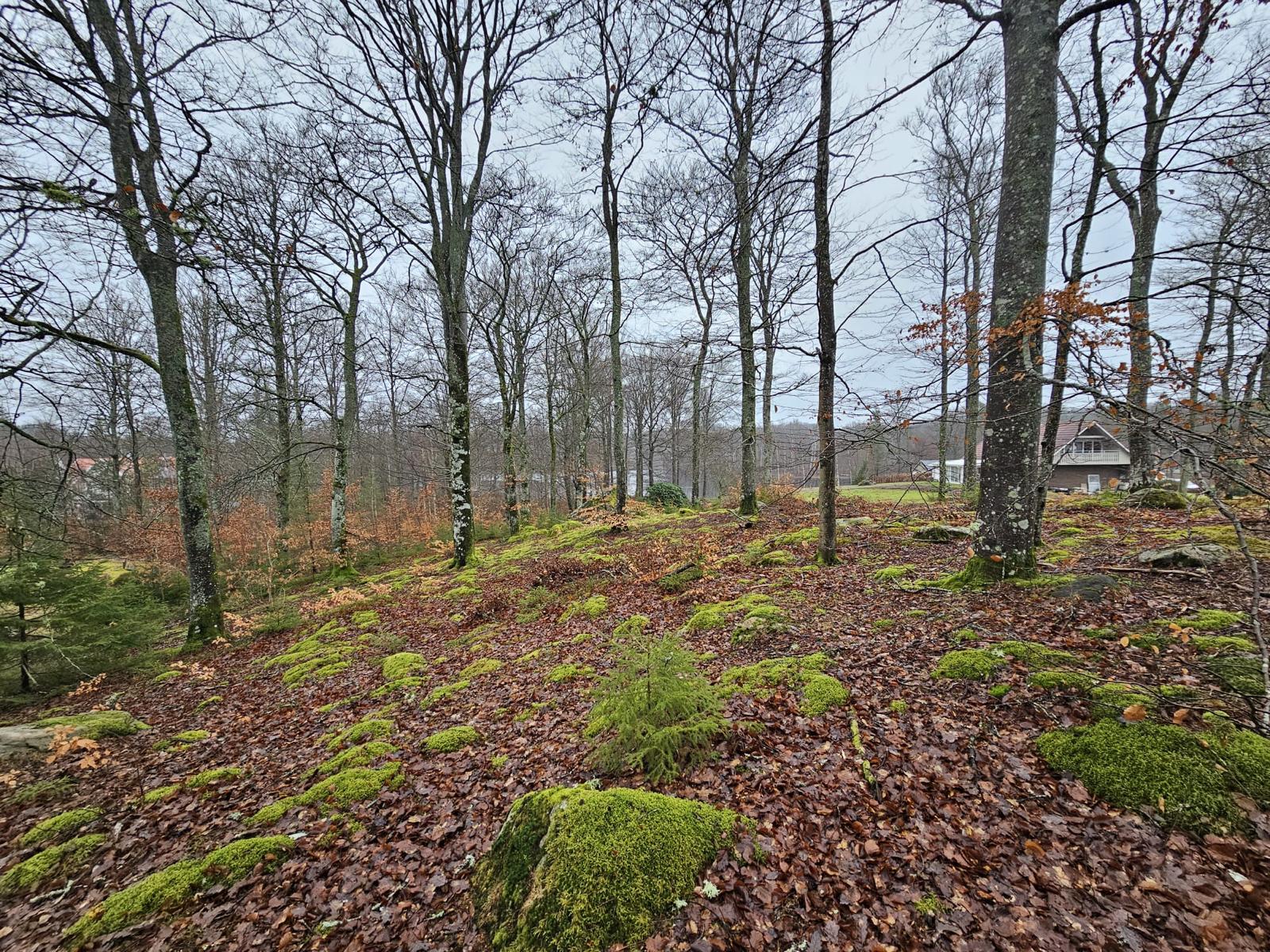 Baugrundstück Schweden1
